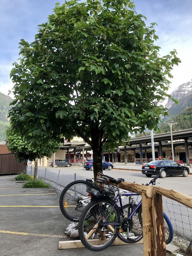 Hotel Crystal Engelberg Kültér fotó